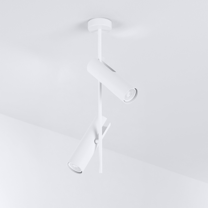 Brilagi - LED RGBW luster na šipci BRANCH s mogućnošću prigušivanja 2xGU10/6,5W/230V 2700-6500K bijela