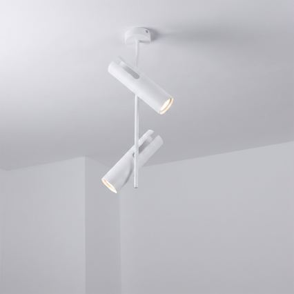 Brilagi - LED RGBW luster na šipci BRANCH s mogućnošću prigušivanja 2xGU10/6,5W/230V 2700-6500K bijela