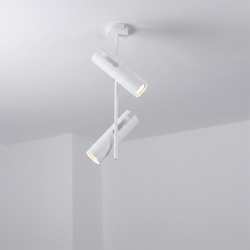 Brilagi - LED RGBW luster na šipci BRANCH s mogućnošću prigušivanja 2xGU10/6,5W/230V 2700-6500K bijela