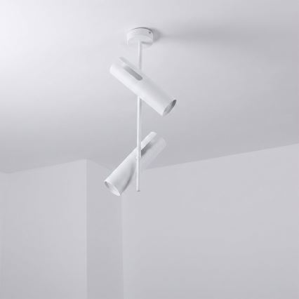 Brilagi - LED RGBW luster na šipci BRANCH s mogućnošću prigušivanja 2xGU10/6,5W/230V 2700-6500K bijela