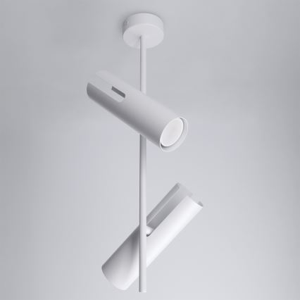 Brilagi - LED RGBW luster na šipci BRANCH s mogućnošću prigušivanja 2xGU10/6,5W/230V 2700-6500K bijela