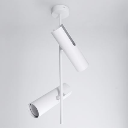 Brilagi - LED RGBW luster na šipci BRANCH s mogućnošću prigušivanja 2xGU10/6,5W/230V 2700-6500K bijela
