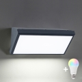 Brilagi - LED RGBW prigušivo vanjsko zidno svjetlo TRIANGLE 1xE27/9W/230V 2700-6500K IP65 antracit