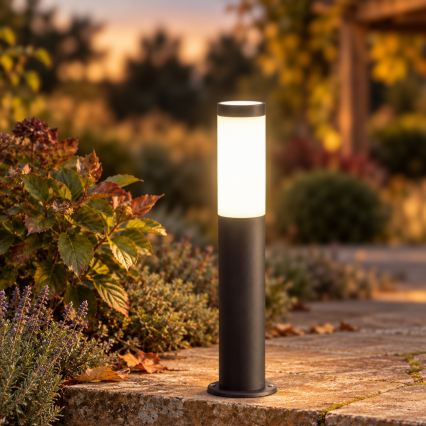 BRILAGI - LED RGBW vanjska lampa ELIA s mogućnošću prigušivanja 1xE27/6,5W/230V 2700-6500K IP44 Wi-Fi 50 cm antracit