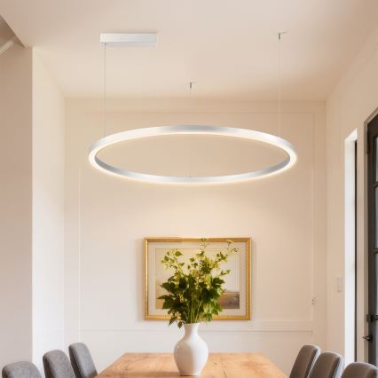 Brilagi - PORTOFINO LED luster na sajli s mogućnošću prigušivanja LED/60W/230V 3000-6000K Ø 80 cm srebrni + daljinski upravljač