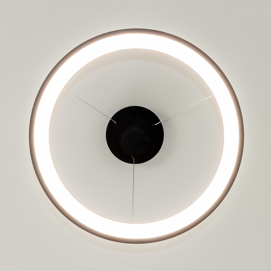 Brilagi - LED luster na sajli s mogućnošću prigušivanja FALCON SLIM LED/42W/230V 3000-6500K Ø 50 cm crna + daljinski upravljač