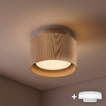 BRILAGI - LED spot svjetiljka BACKLIT 1xGX53/15W/230V + LED/3W Ø 10 cm u dekoru hrasta