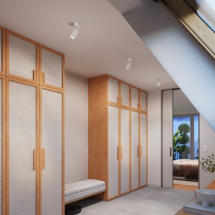 Brilagi - LED spot svjetiljka CRESTO 1xGU10/10W/230V bijela