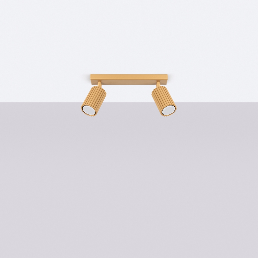 Brilagi - LED spot svjetiljka CRESTO 2xGU10/10W/230V zlatna