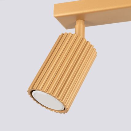 Brilagi - LED spot svjetiljka CRESTO 2xGU10/10W/230V zlatna