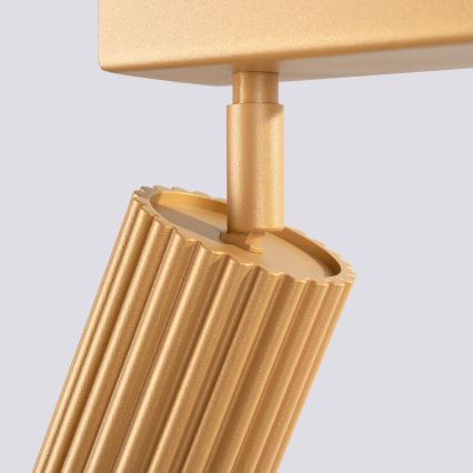 Brilagi - LED spot svjetiljka CRESTO 4xGU10/10W/230V zlatna