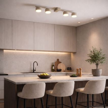 Brilagi - LED spot svjetiljka MONO 4xGX53/30W/230V bež