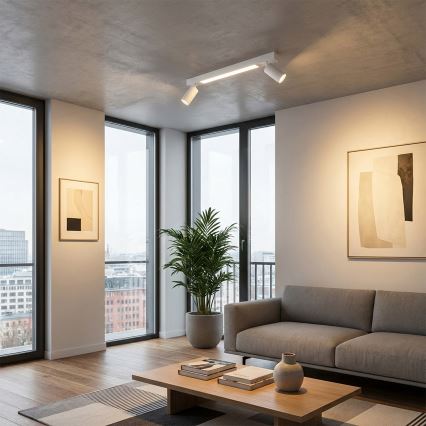 Brilagi - LED spot svjetiljka SELE 2xGU10/30W/230V + LED/15W bijela