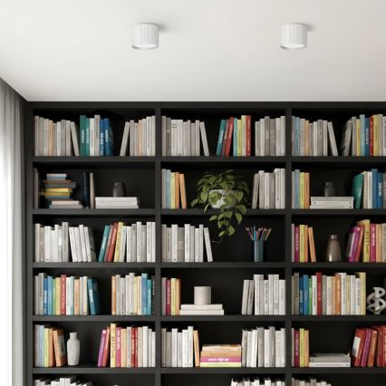 Brilagi - LED Spot svjetiljka STRIPY 1xGX53/15W/230V bijela