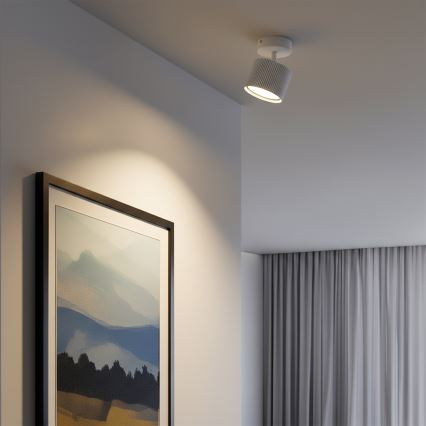 Brilagi - LED Spot svjetiljka STRIPY 1xGX53/15W/230V bijela