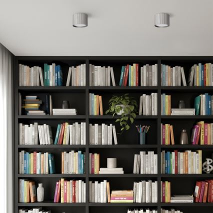 Brilagi - LED Spot svjetiljka STRIPY 1xGX53/15W/230V srebrna