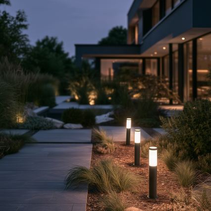 BRILAGI - LED vanjska svjetiljka ELIA s mogućnošću prigušivanja 1xE27/6W/230V 2700-6500K IP44 Wi-Fi 50 cm antracit