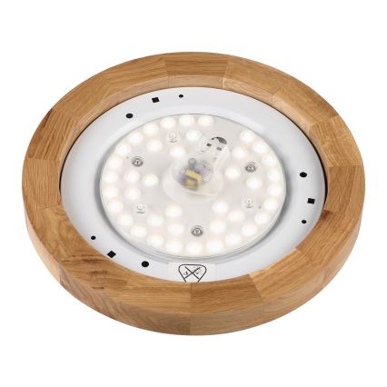 Brilagi - LED Stropna lampa BELLADONNA LED/20W/230V Ø 30 cm bijela/ hrast