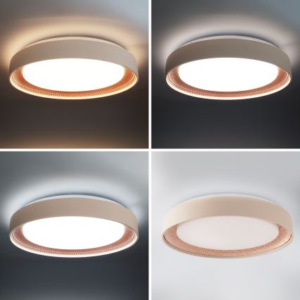 Brilagi - Prigušivo LED stropno svjetlo WALDO LED/48W/230V 3000-6500K Ø 40 cm bež/zlatno + daljinski upravljač
