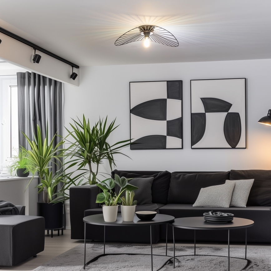 Brilagi - LED stropna prislonjena svjetiljka CERIA WIRE 1xE27/40W/230V 40x56 cm crna