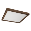 Brilagi - LED Stropna rasvjeta WOODY FRAME LED/40W/230V 60x60 cm IP44 orah