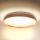 Brilagi - LED Stropna svjetiljka ALSON LED/24W/230V hrast