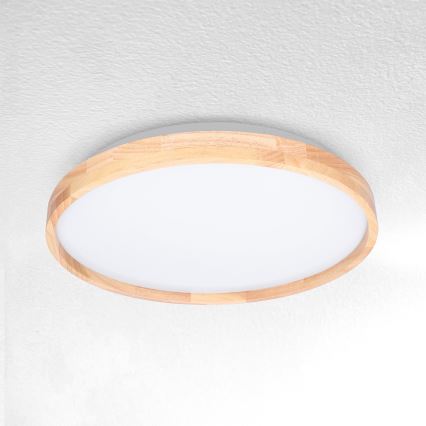 Brilagi - LED Stropna svjetiljka ALSON LED/24W/230V hrast
