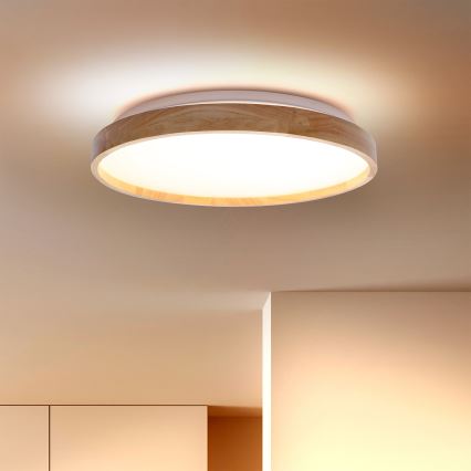 Brilagi - LED Stropna svjetiljka ALSON LED/24W/230V hrast