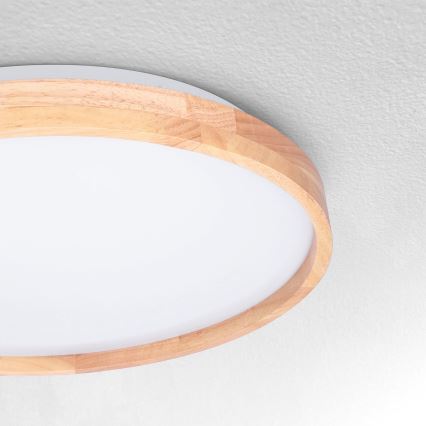 Brilagi - LED Stropna svjetiljka ALSON LED/24W/230V hrast