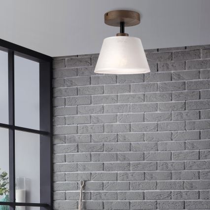 Brilagi - LED Stropna svjetiljka ANTHONY 1xE14/60W/230V hrast orah/bijela