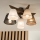 Brilagi - LED Stropna svjetiljka ANTHONY 5xE14/40W/230V hrast orah