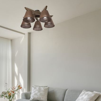 Brilagi - LED Stropna svjetiljka ANTHONY 5xE14/40W/230V hrast orah/smeđa