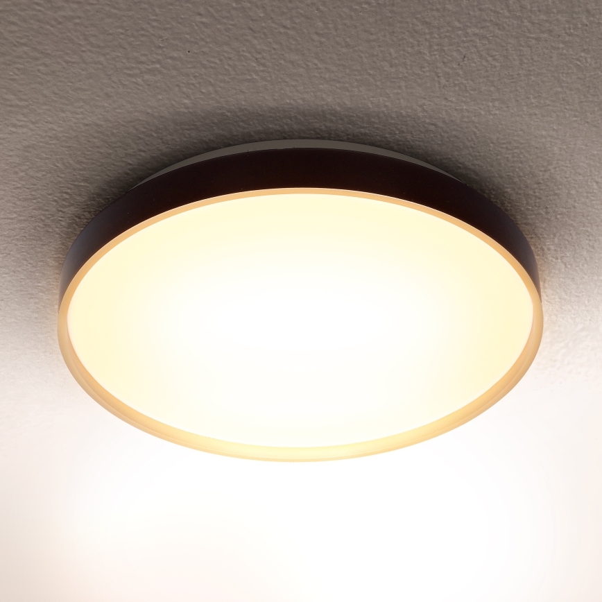 Brilagi - LED Stropna svjetiljka CALA LED/24W/230V