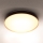 Brilagi - LED Stropna svjetiljka CALA LED/24W/230V