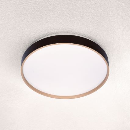 Brilagi - LED Stropna svjetiljka CALA LED/24W/230V
