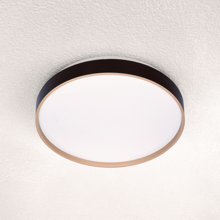 Brilagi - LED Stropna svjetiljka CALA LED/24W/230V