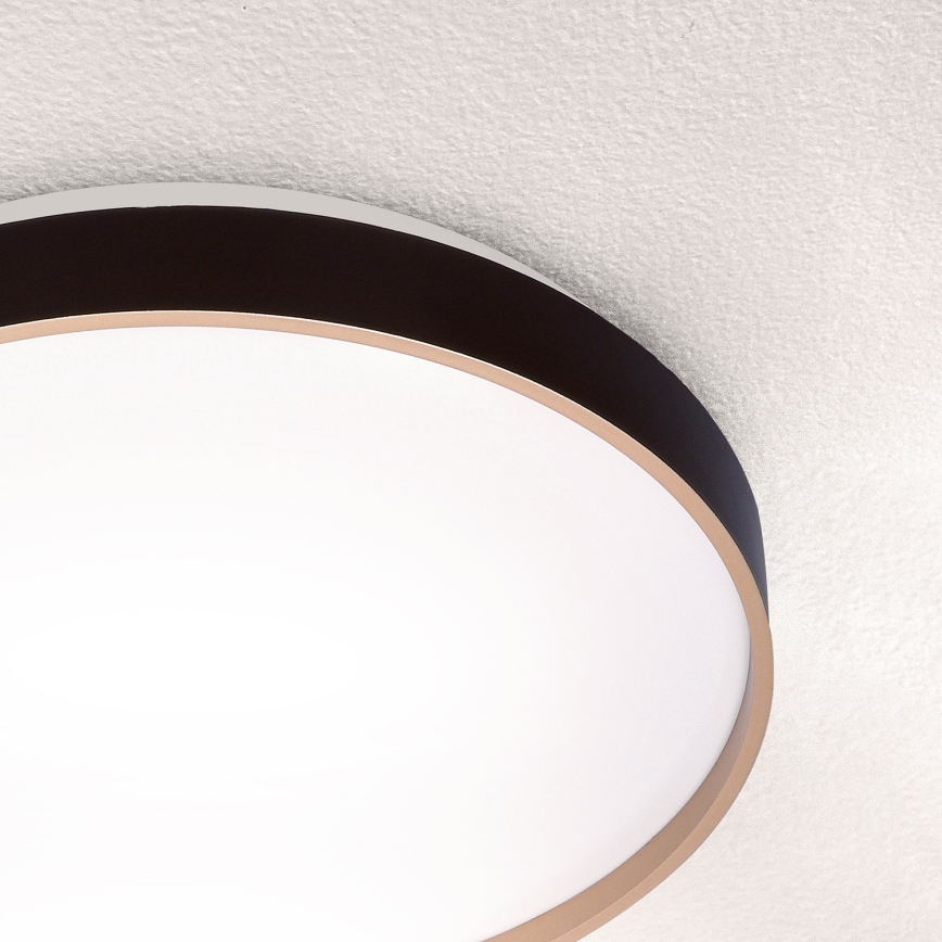 Brilagi - LED Stropna svjetiljka CALA LED/24W/230V