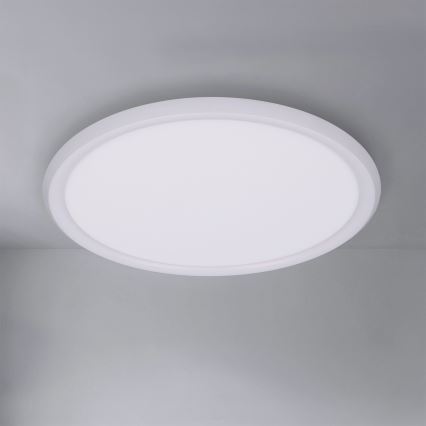 Brilagi - LED stropna svjetiljka CARLOS LED/24W/230V promjer 40 cm bijela