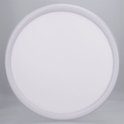 Brilagi - LED stropna svjetiljka CARLOS LED/24W/230V promjer 40 cm bijela