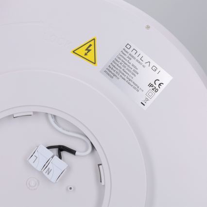 Brilagi - LED stropna svjetiljka CARLOS LED/24W/230V promjer 40 cm bijela