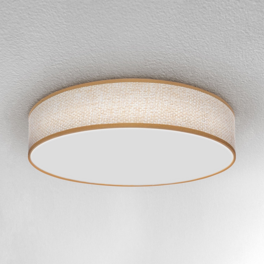 Brilagi - LED stropna svjetiljka s prigušivanjem CARMEN LED/48W/230V 3000-6500K promjer 40 cm + daljinski upravljač