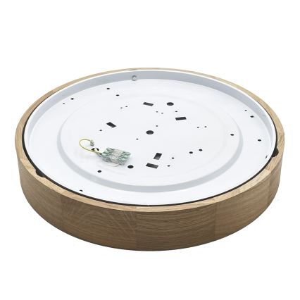 Brilagi - LED stropna svjetiljka CARVALHO LED/36W/230V hrast, prom. 47,5 cm