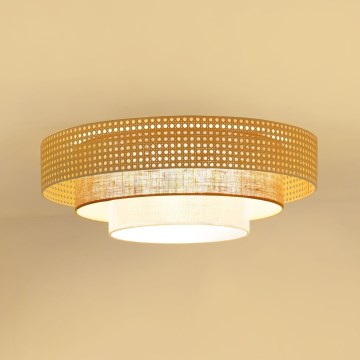Brilagi - LED Stropna svjetiljka CEDAR LUNETA LED/26W/230V bež/smeđa/krem