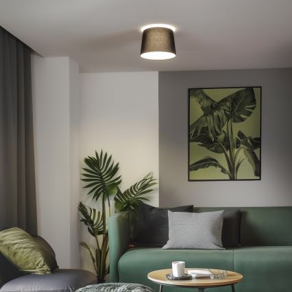 Brilagi - LED stropna svjetiljka CERIA 1xE27/40W/230V Ø 30 cm crna