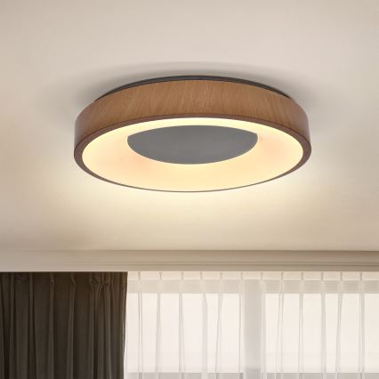 Brilagi - LED Stropna svjetiljka DORIA LED/24W/230V