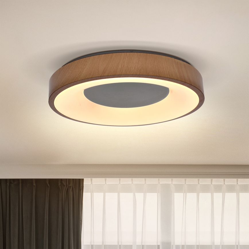 Brilagi - LED Stropna svjetiljka DORIA LED/24W/230V