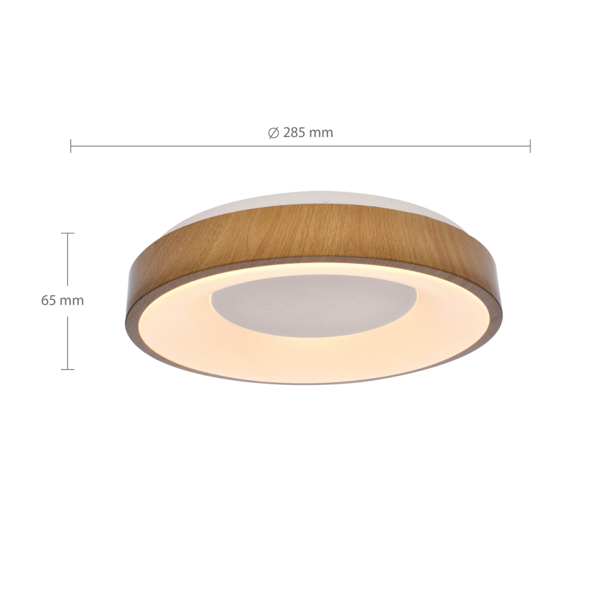 Brilagi - LED Stropna svjetiljka DORIA LED/24W/230V