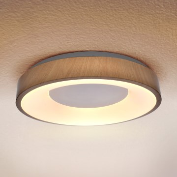 Brilagi - LED stropna svjetiljka DORIA LED/24W/230V Ø 28,5 cm