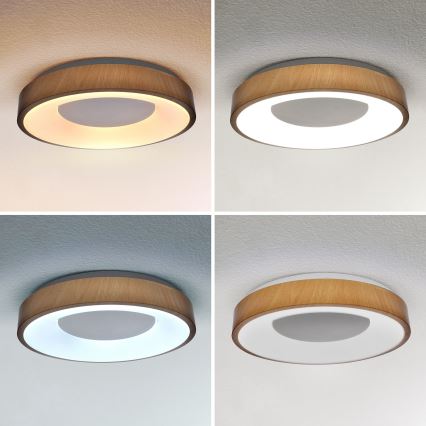 Brilagi - LED stropna svjetiljka s prigušivanjem DORIA LED/48W/230V 3000-6500K promjer 39 cm + daljinski upravljač