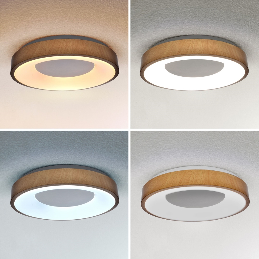 Brilagi - LED stropna svjetiljka s prigušivanjem DORIA LED/48W/230V 3000-6500K promjer 39 cm + daljinski upravljač